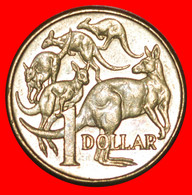 * 5 KANGAROOS (2000-2019): AUSTRALIA 1 DOLLAR 2013! LOW START ★ NO RESERVE! - Dollar