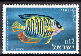 Israel 1962 Red Sea Fish Scott 234 - Nuevos (sin Tab)