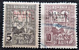 Timbre Taxe De Roumanie 1918 The Queen Weaving - Tax Stamps Of 1916 Overprinted "1918"  Y&T N° 8 Et 9 - Strafport