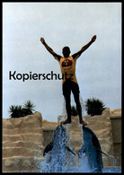 ÄLTERE POSTKARTE LORO PARQUE TENERIFE DELFINARIO DELPHIN-SHOW Delfine Delfin Dolphin Dauphin Tierpark Zoo Teneriffa Man - Dauphins