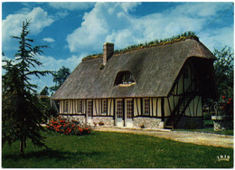 CPM DES ENVIRONS DE ROUTOT  (EURE)  CHAUMIERE A LA HAYE-AUBREE - Routot