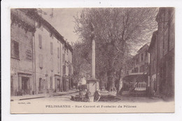 CP 13 PELISSANE Rue Carnot Et Fontaine Du Pélican - Pelissanne