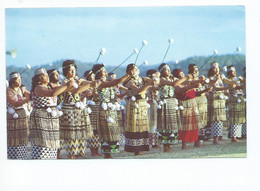 THE TAI TOKERAU GROUP PERFORMING A POI DANCE AT WAITANGI.- MAORI DANCES - AUSTRALIA ) - Aborigenes