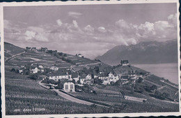 Lavaux VD, Aran Sur Villette, Vignes Et Léman (3991) - Villette