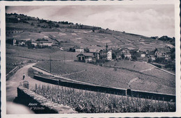 Lavaux VD, Aran Sur Villette, Vignes Et Léman (31) - Villette