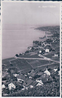 Lavaux VD, Aran Sur Villette, Vignes Et Léman (33) - Villette