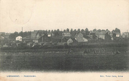 LIBRAMONT - Panorama - Carte Circulé En 1911 - Libramont-Chevigny