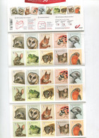 Belgie Boekje B172 BOEKJE VAN 50 ZEGELS  Mnh 4951/60 Birds Rabbit Owl Hedgehog Squirl Mouse Bee Ladybug Frog - Carnet 1953-....