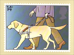 A40-140 CP Bling Man Guide Dog Handicap - Handicaps