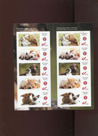 Belgie Boekje Chiens & Chats DOGS KATS Kittens Chats MNH Duostamps Booklet Gepersonaliseerde Zegels - Sonstige & Ohne Zuordnung