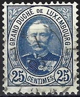 Luxembourg 1891 - Mi  60D - YT 62 ( Grand Duke Adolf ) Perf. 12 ½ - 1891 Adolfo De Frente