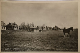 Oosthuizen (Gem. Edam-Volendam) Westeinde 1951 - Sonstige & Ohne Zuordnung