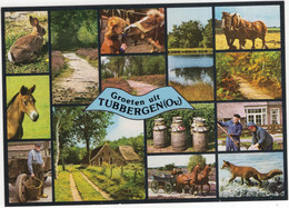 Groeten Uit Tubbergen (Ov.) - (Overijssel, Nederland / Holland) - Nr. 780 - Tubbergen