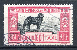 SAINT PIERRE Et MIQUELON < TAXE Oblitéré N° 28 Ø Used Ø Cote 26.50 € < CHIEN De TERRE NEUVE - CACHET POSTE Aux COLONIES - Impuestos