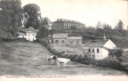 Beaumont - Vue Prise Du Passage-de-Pierre (Edit. Crèvecoeur) - Beaumont