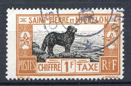 SAINT PIERRE Et MIQUELON < TAXE Oblitéré N° 29 Ø Used Ø Cote 40.00 € < CHIEN De TERRE NEUVE - CACHET POSTE Aux COLONIES - Impuestos