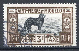 SAINT PIERRE Et MIQUELON < TAXE Oblitéré N° 31 Ø Used Ø Cote 76.00 € < CHIEN De TERRE NEUVE - CACHET POSTE Aux COLONIES - Postage Due