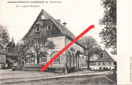 AK Hammer Am See Hamr Leppin 's Gasthof Dewin Devin Kunnersdorf Kundratice Oschitz Osecna Wartenberg Straz Niemes Mimon - Sudeten