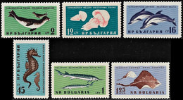 Bulgaria 1961, Animals In The Black Sea - 6 V. MNH - Meereswelt
