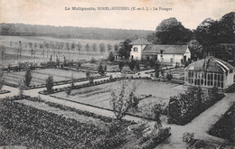 SOREL-MOUSSEL (Eure-et-Loir) - La Malignerie - Le Potager - Sorel-Moussel