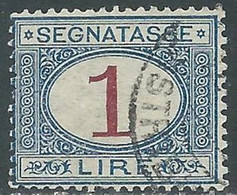 1890-94 REGNO SEGNATASSE USATO 1 LIRA - RF28 - Impuestos