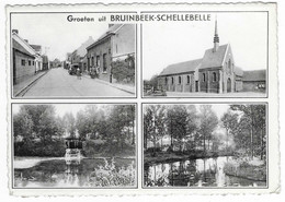 CPSM MULTIVUES GROETEN UIT BRUINBEEK - SCHELLEBELLE, WICHELEN, BELGIQUE - Wichelen