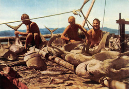 PIE-22-T-PL-2853 :  EXPEDITION KON-TIKI 1947. A DAY'S CATCH. POLYNESIE - Polynésie Française