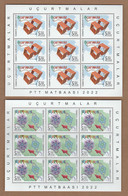 AC - TURKEY STAMP - KITES MNH FULL SHEET Ankara, 23 April 2022 - Unused Stamps