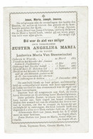 Doodsprentje  1888 Zuster Angelina Maria ( Ludovica Maria Van Steenwinckel ) : Weerde-Huldenberg-Hallaar . - Religión & Esoterismo