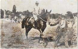 Hippisme    -  Hotweed  Ponte Par Guy Garnier  -   Carte De Cheval De Course - Hippisme