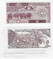 Somalia 5 Shilin Or 5 Shillings 5 Banknote 1987 Pick-31c Buffalo And Banana UNC (catalog US$ 5x5=25) - Somalië