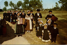 AU PAYS MARAICHIN GROUPE FOLKLORIQUE ET MUSICIENS - Musique