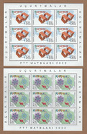 AC - TURKEY STAMP - KITES MNH FULL SHEET 23 April 2022 - Nuovi