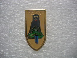 Pin's Militaire, AERE PERENUS - Militaria