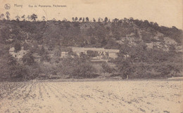 HONY Vue Du Panorama Féchereuse / Postée En 1922 - Esneux