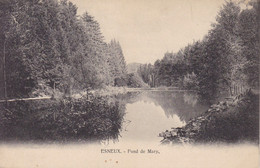 ESNEUX Fond De Mary   / Postée En 1909 Ou 1910 - Esneux