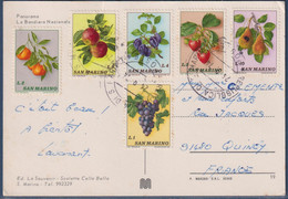 Carte Postale 6 Timbres San-Marino Fruits, 24.9.74, Illustration Carte Postale Drapeau De Saint Marin Et Timbres Lions - Briefe U. Dokumente