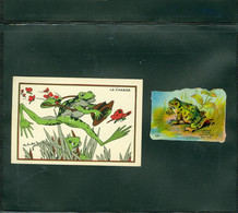 Frog - Frosch - Grenouille - Lot De 5 Chromos + 4 Cartes Téléphoniques - TBE - Otros
