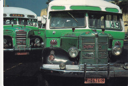 Bus - Autocar - MALTA - Bus & Autocars