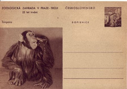 CDV 130 / 01 ** - 1956 ■ Bildpostkarte ZOO In Prag / Schimpanse - šimpanz - Non Classificati