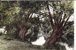 Environs De DORNECY - Les Bords De L'Yonne - Autres & Non Classés