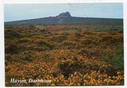 AK 049113 ENGLAND - Dartmoor - Haytor - Dartmoor