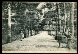 CPA - Carte Postale - Belgique - Bourg Léopold - Avenue Des Soupirs - 1921 (CP20201) - Leopoldsburg