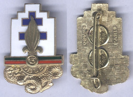 Insigne De La 13e Demi Brigade De La Légion Etrangère - Army