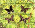 India 2008 Endemic Butterflies Andaman Nicobar Islands Butterfly Fauna Block Inde Indien Miniature Souvenir Sheet - Blocs-feuillets