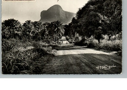 AK - Guinee - Route De Goyah á Kindia - 1957 - 9x 14cm - #885# - Guinée