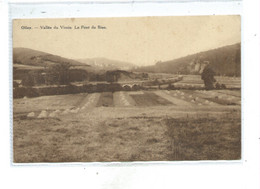 Olloy Vallée Du Viroin Pont Du Biau - Viroinval