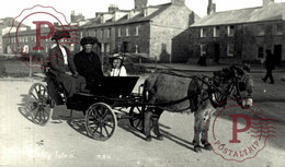 CARTE PHOTO  Kate Thompson Scilly Isles WATTS MOOR VIEUW    RP   BURROS ANE DONKEY EZEL - Sonstige & Ohne Zuordnung