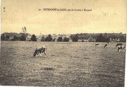 Carte POSTALE  Ancienne De BOURBONNE Les BAINS - Bourbonne Les Bains