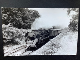 Photo De DAHLSTRÖM  : Train Vapeur Express 1113 Vers MORET Les SABLONS En 1968 - Treni